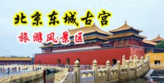 东北黄片免费播放中国北京-东城古宫旅游风景区